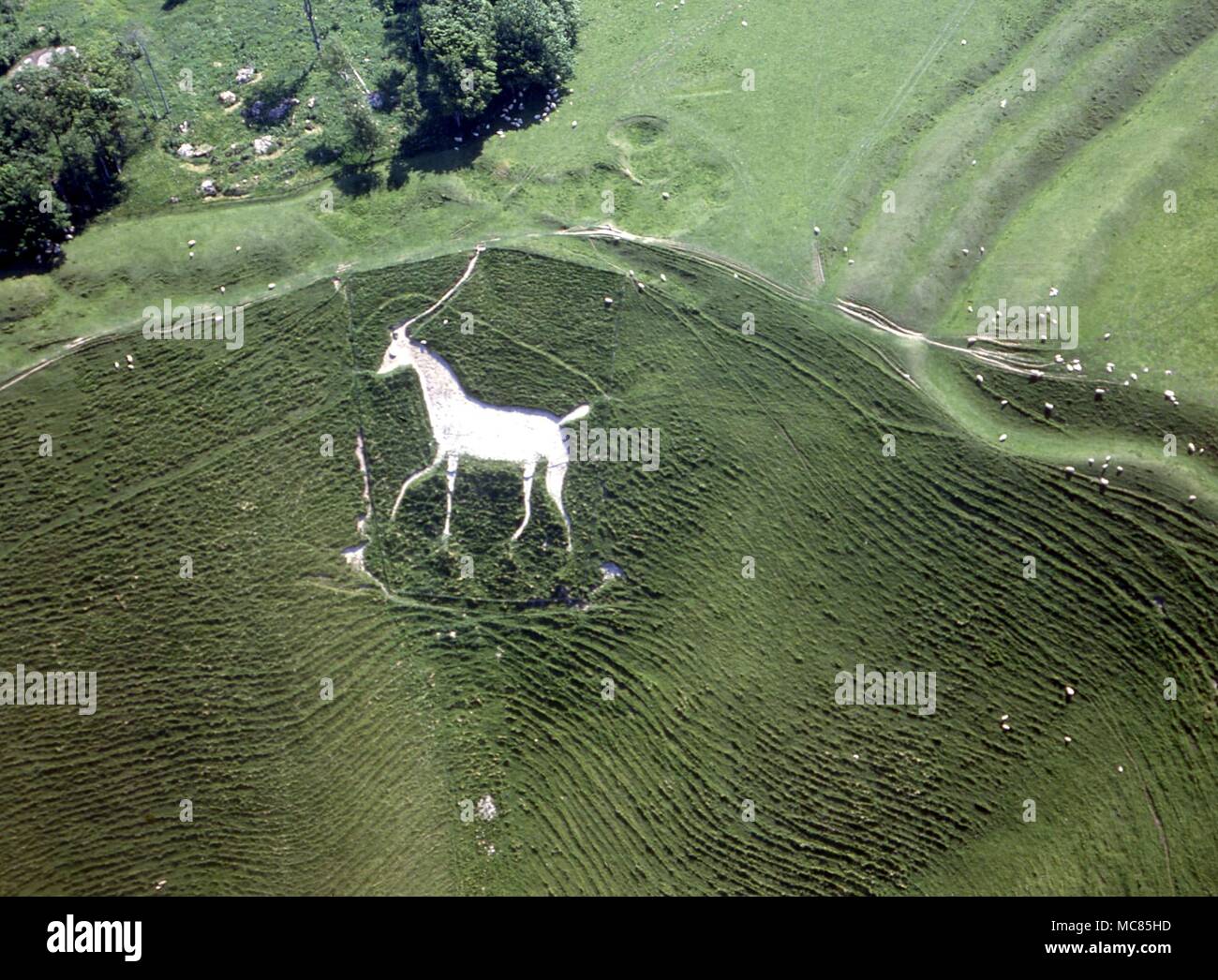 Wiltshire horse hires stock photography and images Alamy