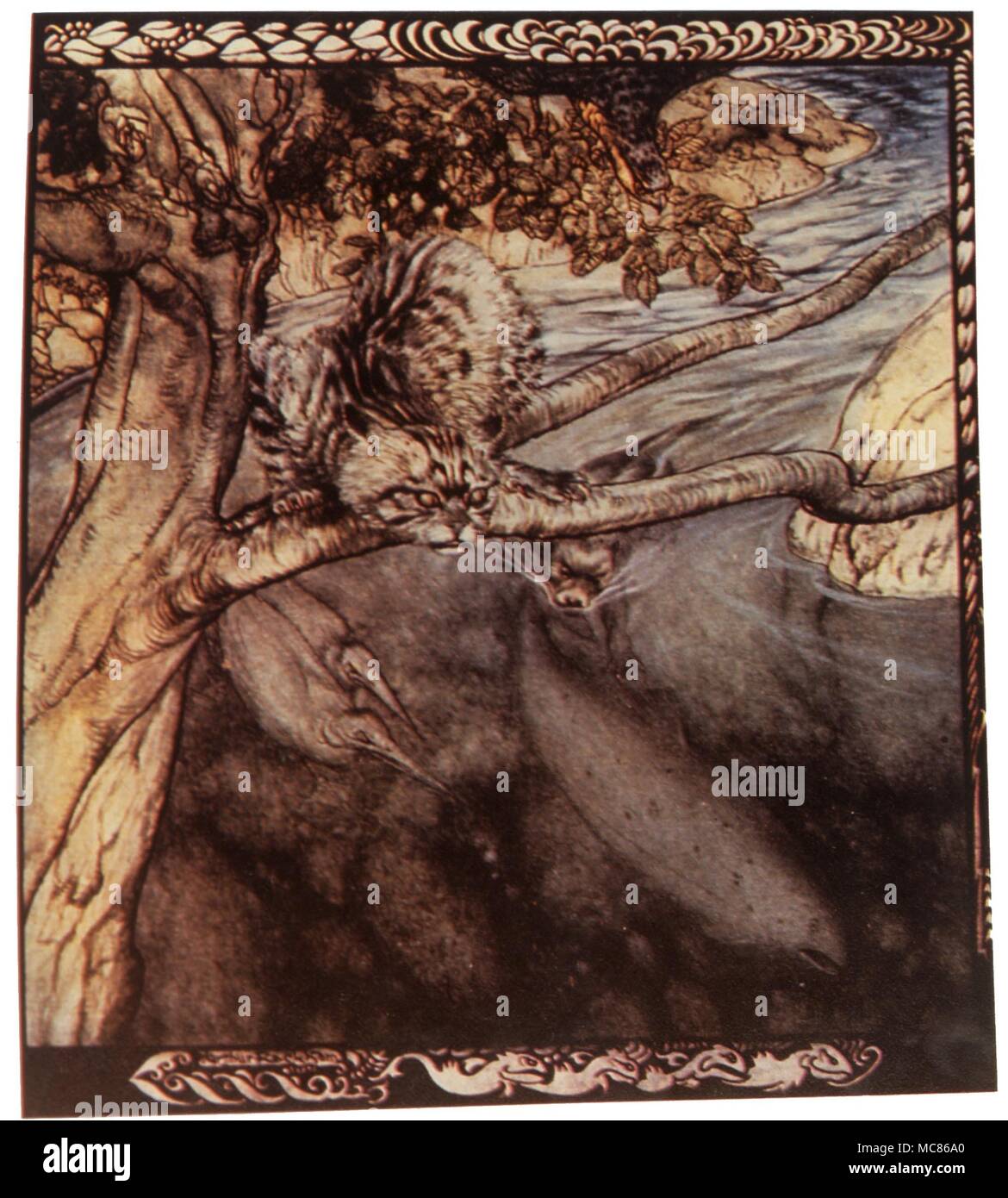 Reincarnation The repeated earth-lives of Bran, who is here dwelling in his avatarformas as Salmon. Illustration by Arthur Rackham for Stephen's 'Irish Fairy Tales' Stock Photo