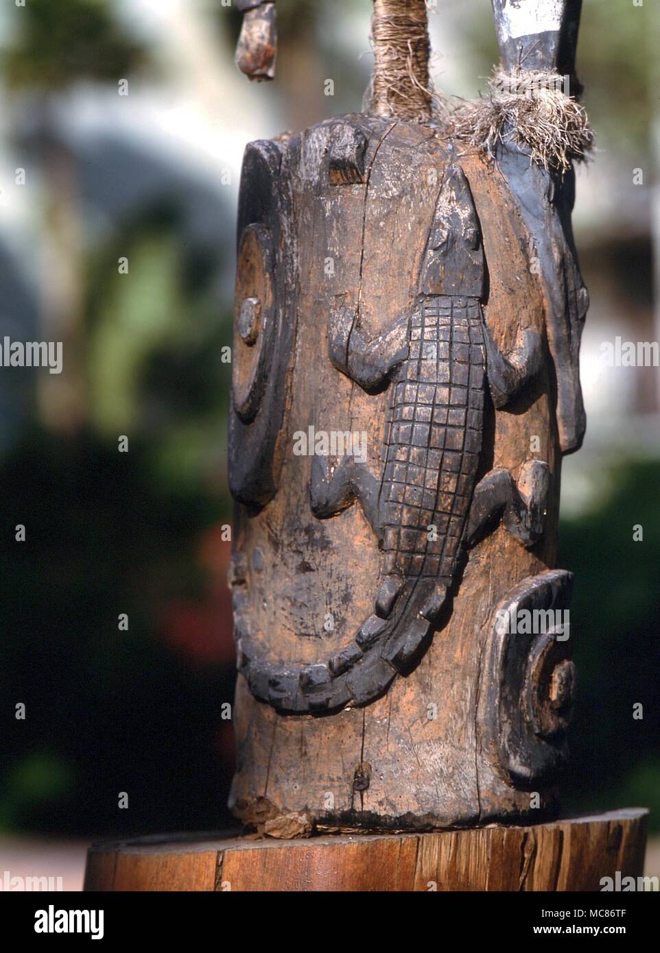 POLYNESIAN MYTHOLOGY Polynesian wooden magical statue, of a lizard, carved on the body of a mythological figure. private collection, Hawaii Stock Photo