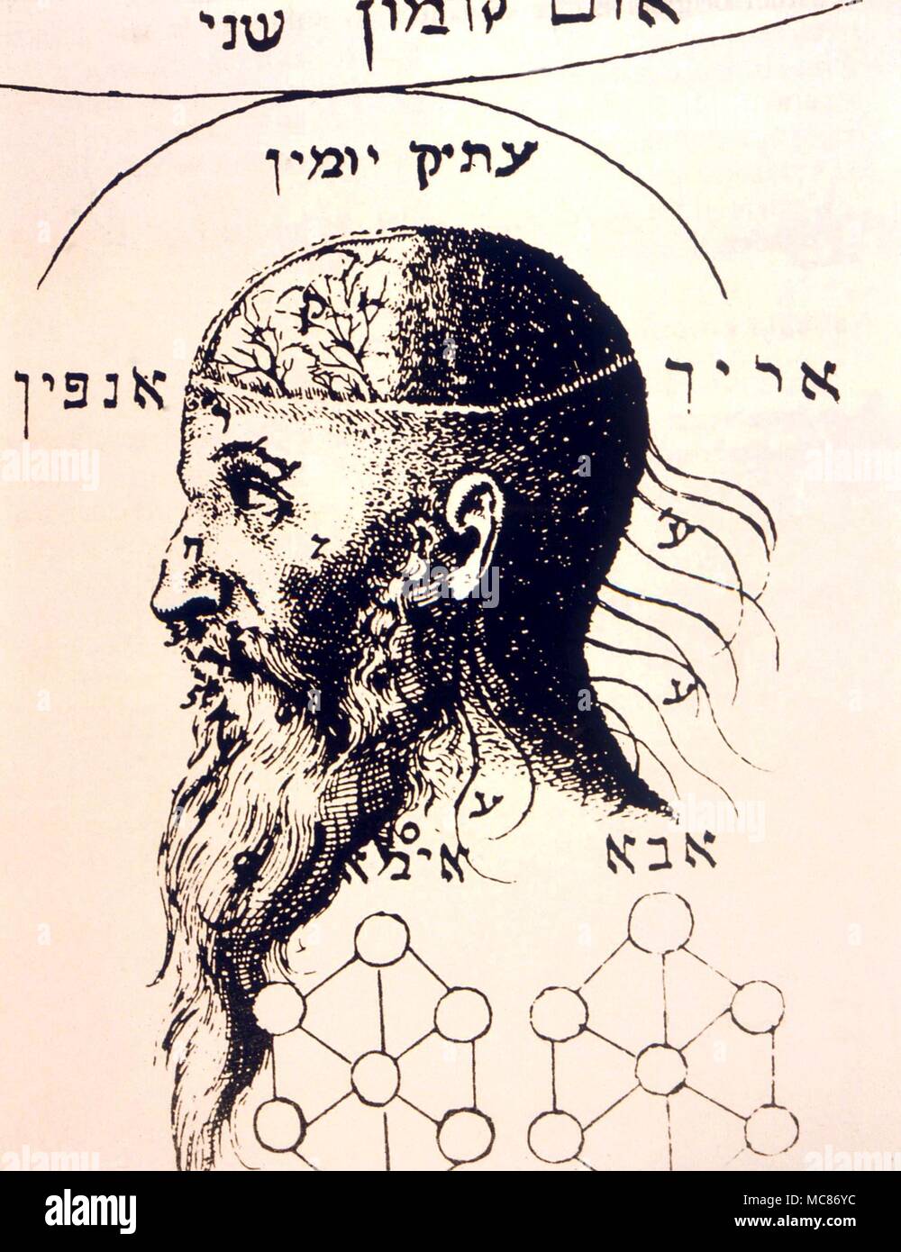 CABBALA Macrocosm. Sometimes called 'The Great Countenance', after Baron Christian Knorr von Rosenroth, 'Kabbala Denudata', 1677-1684 Stock Photo