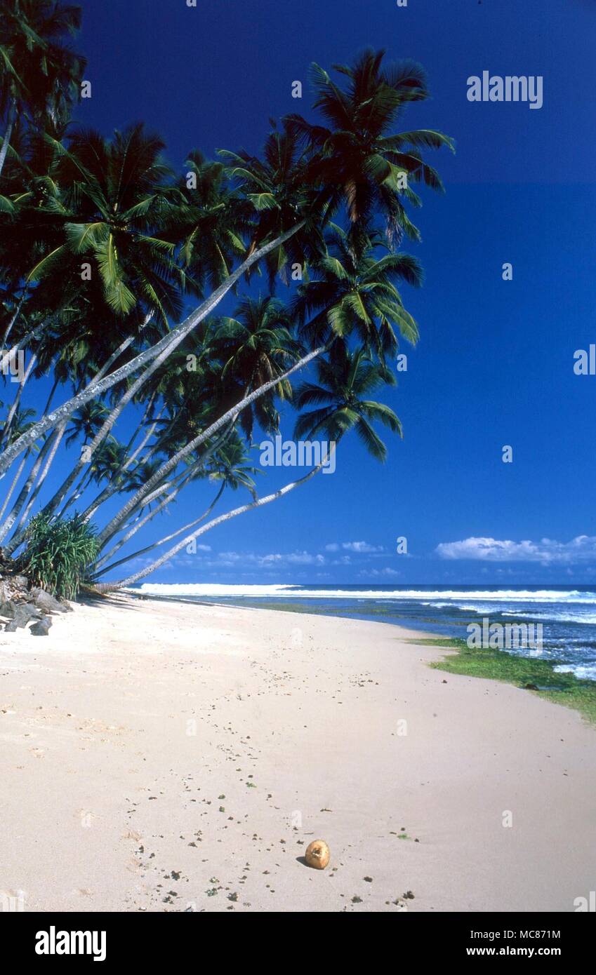 TROPICAL ISLANDS Palm fringed beach at Weligma, Sri Lanka Stock Photo