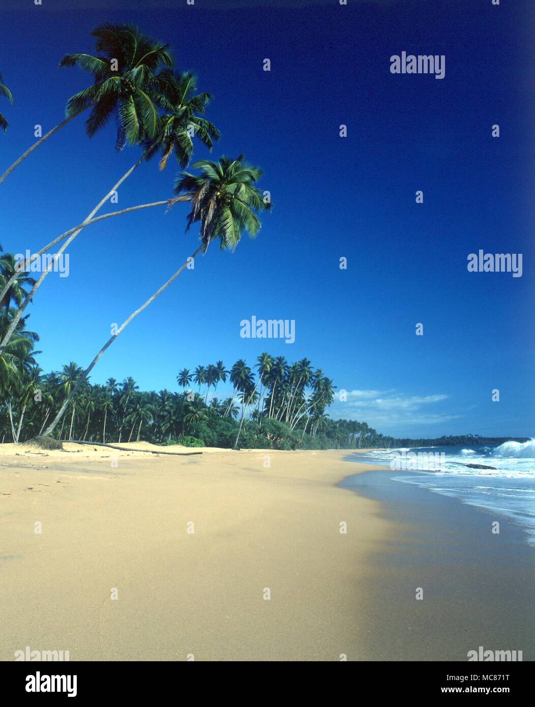 TROPICAL ISLANDS Palm fringed beach near Kosgoda, Sri Lanka Stock Photo