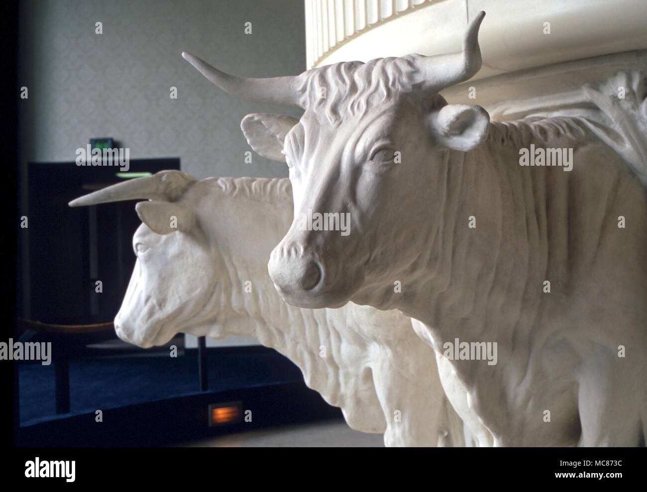 ANIMALS - Oxen carrying the baptismal font. In the Mormon temple, Salt Lake City Stock Photo