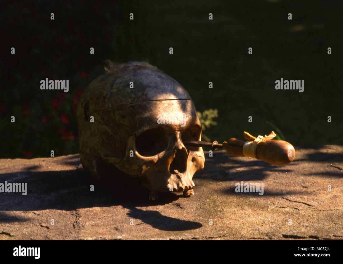 Cursing of a human being to death by means of spearing a skull with a metal point bearing the name of the victim. Stock Photo