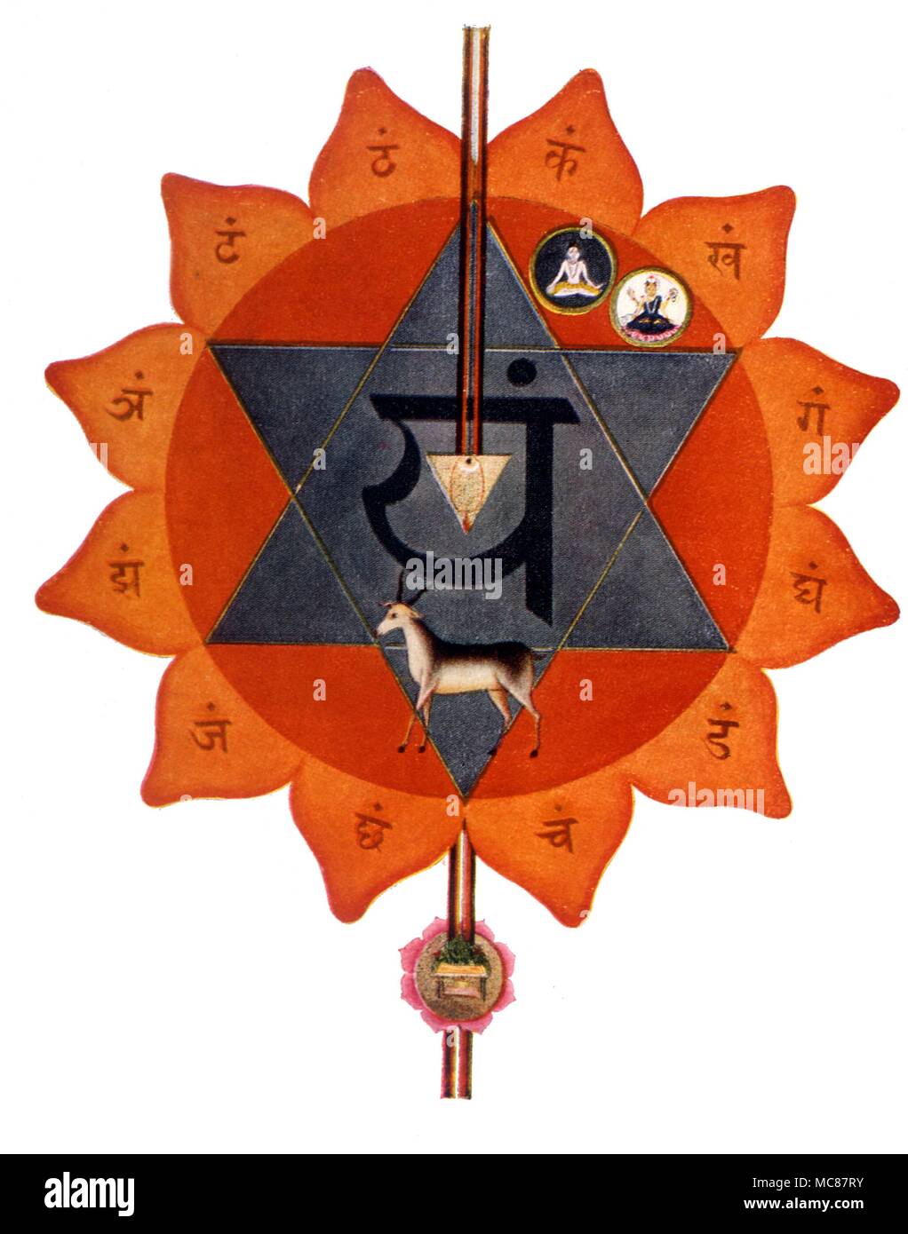 Chakras Anahata The Anahata or heart chakra lotus Stock Photo
