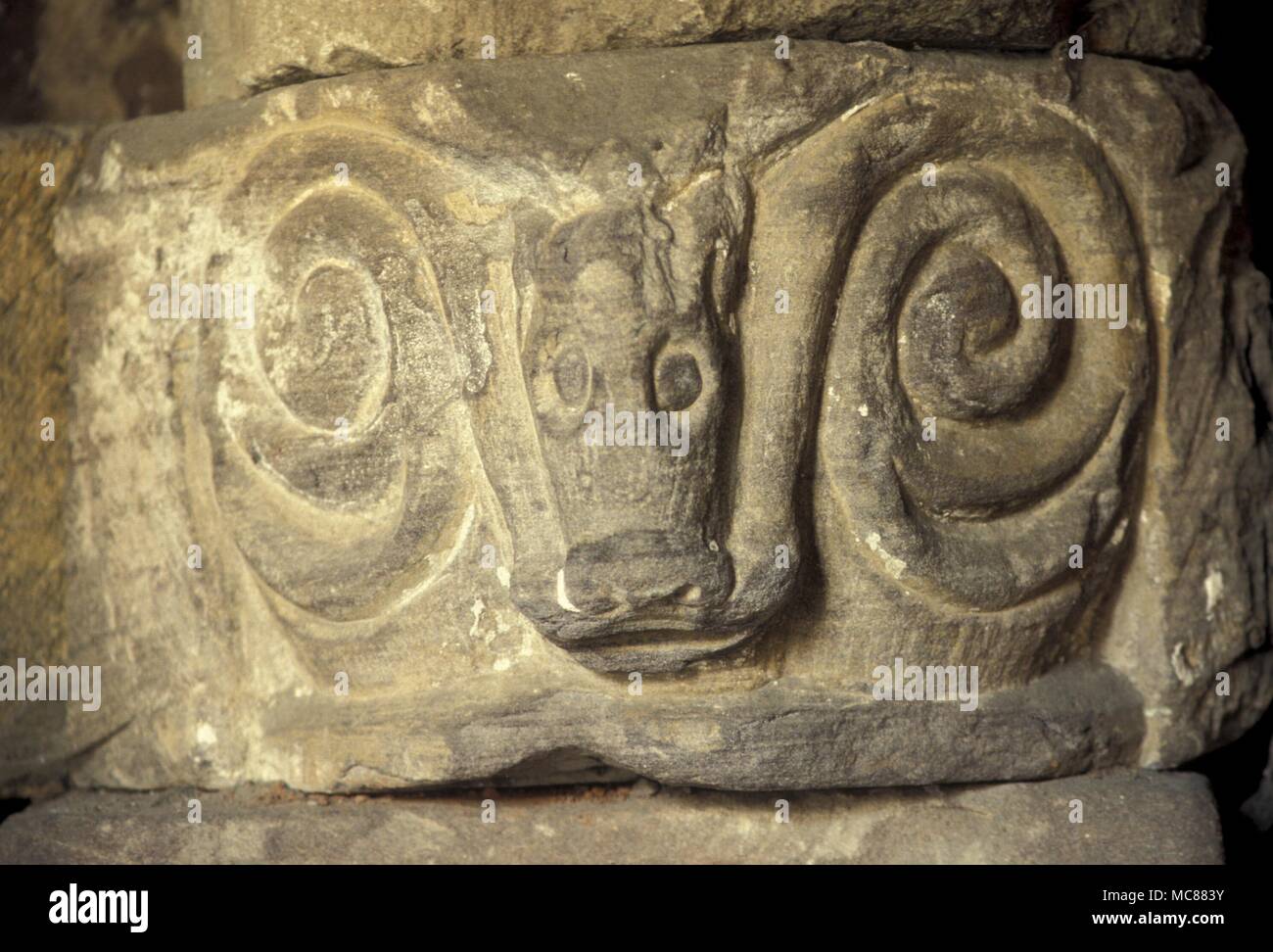 Spirals - Hereford. Spirals formed by the horns of the ram's head. Detached capital in Hereford cathedral - formerly part of the actual fabric of the cathedral. Stock Photo