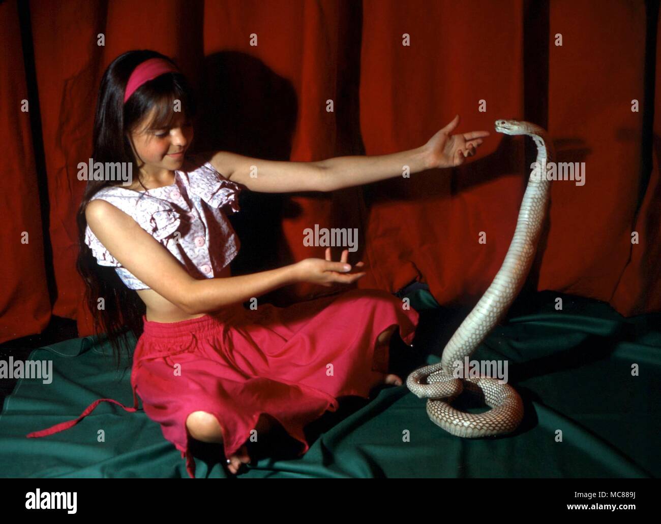 Snake charmer Stage magic snake charming act done by a child Stock