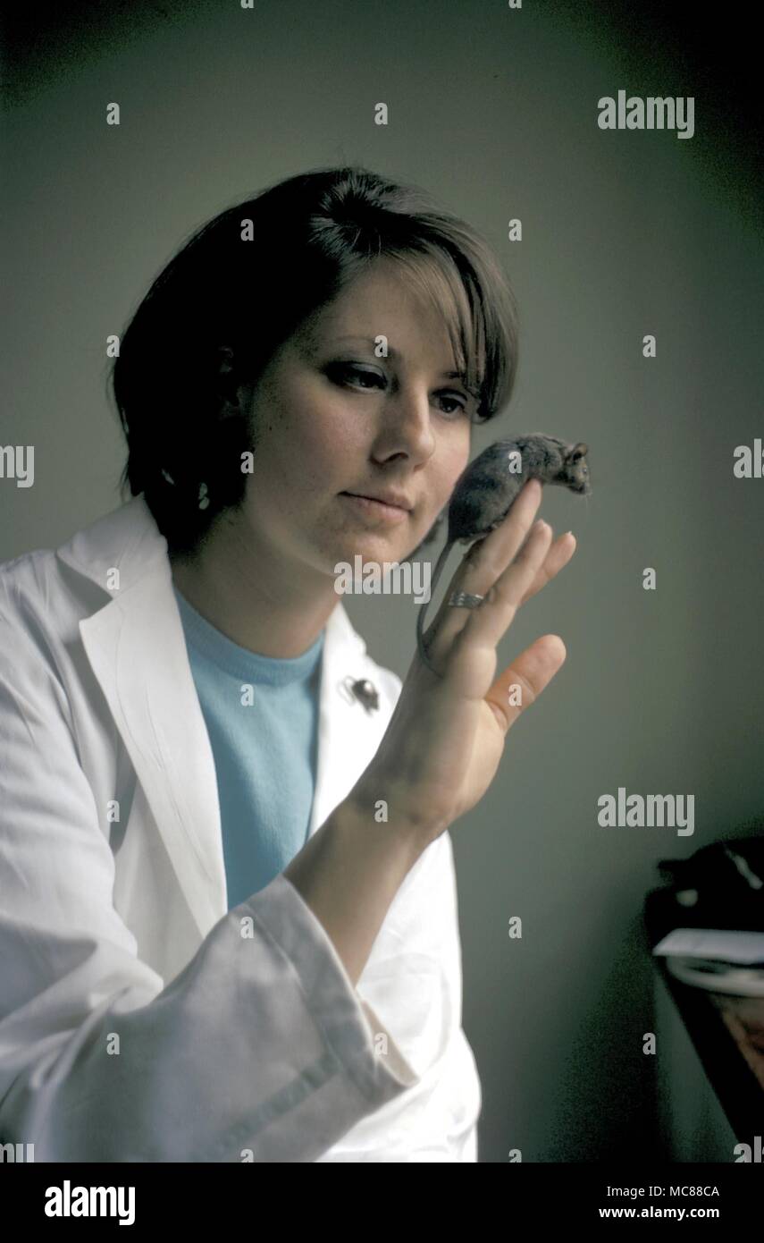 SCIENTIFIC CURIOSITIES Girl with mouse which has received a transplant of a rat skin Stock Photo