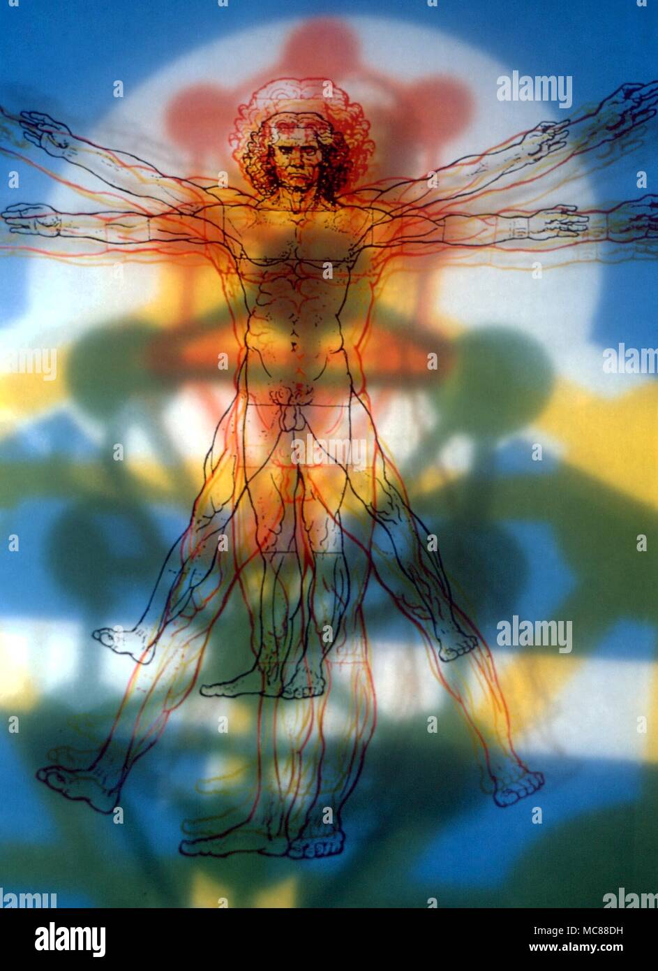 CABBALA Leonardo da Vinci's cosmic man with cabbalistic image - the Sephirothic Tree Stock Photo