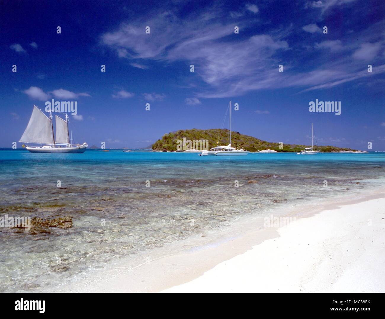 TROPICAL ISLANDS Palm Island, in the Grenadines of te west Indies. Beach and boats Stock Photo