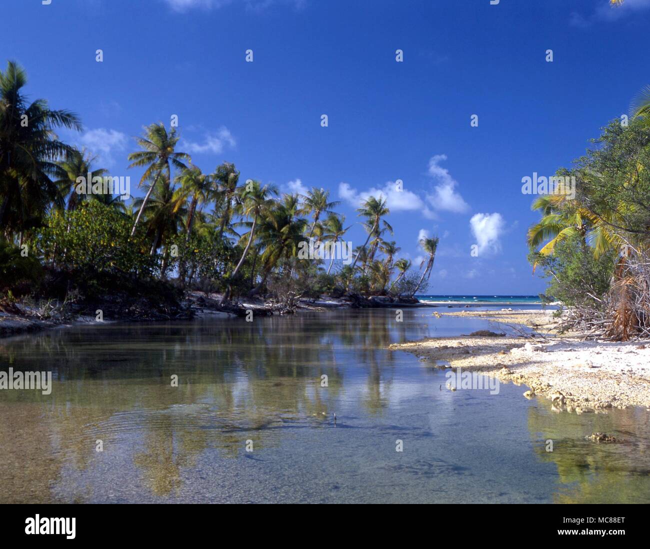 TROPICAL ISLANDS Palm trees and beach - group of small islands at Avearami. French Polynesia Stock Photo