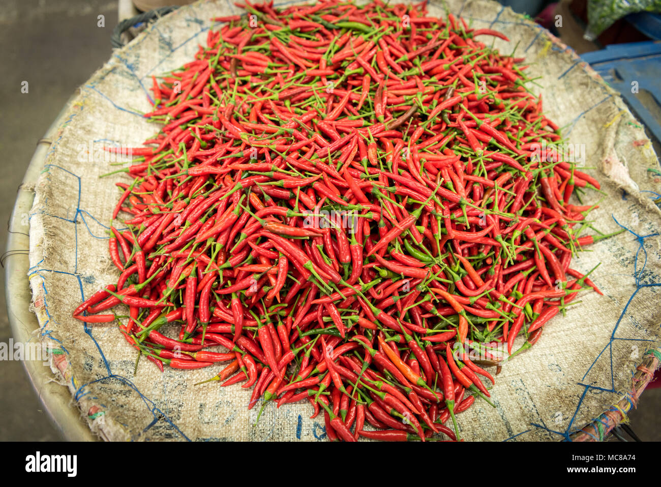 Chilli flower hires stock photography and images Alamy