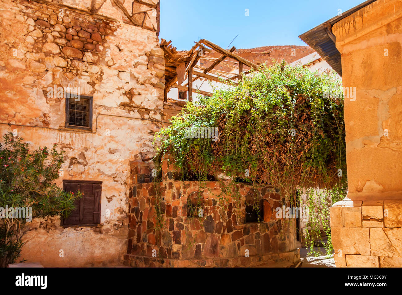 The Burning Bush inside Monastery of St. Catherine in Sinai Peninsula