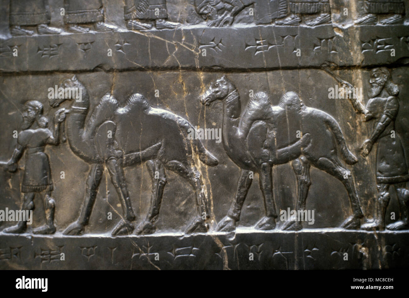 Black Obelisk of Shalmaneser III. Limestone Assyrian sculpture. Bas-relief, 858-824 BC. Nimrud, Iraq. The tribute of Jehu, son of Omri (ancient northern Israel). British Museum. London, United Kingdom. Stock Photo