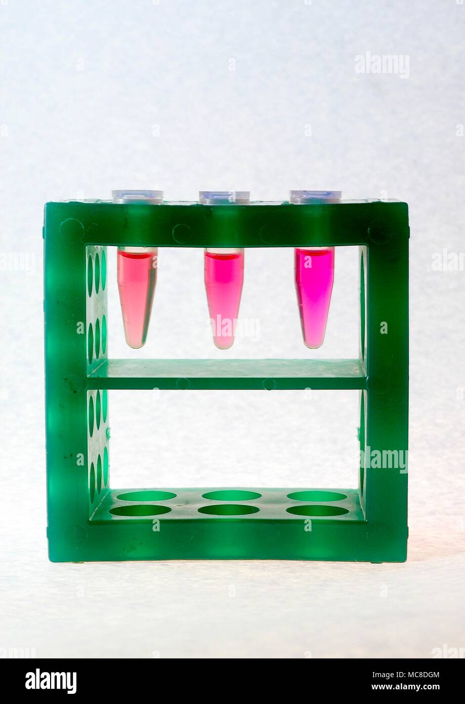 Three Eppendorf tubes in a tube rack Stock Photo Alamy