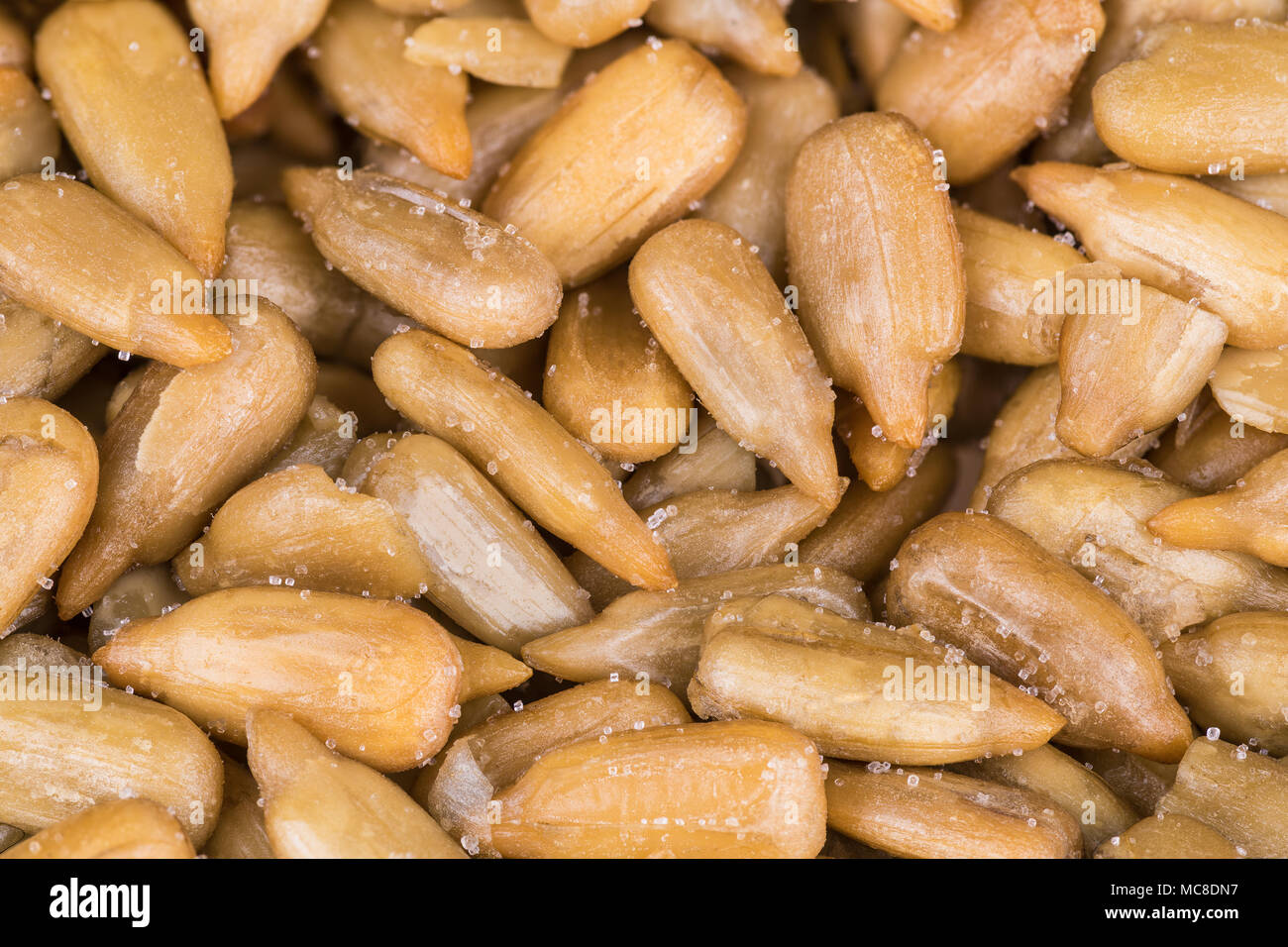 Close-up of salted sunflower seeds as a culinary background. Helianthus. Decorative texture from pile of roasted grains sprinkled by crystals of salt. Stock Photo