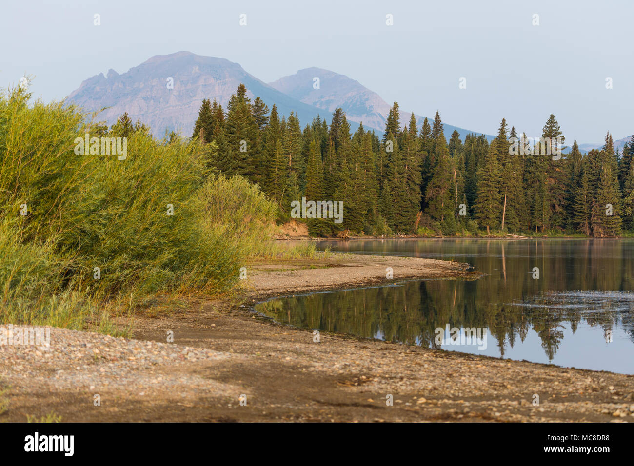 Beaver mines hires stock photography and images Alamy