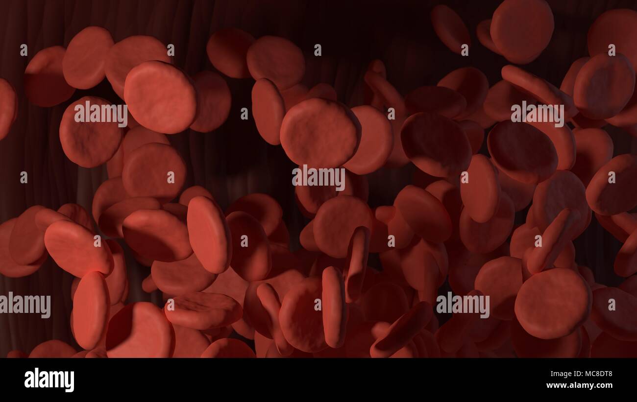 3d rendered red blood cells in vein Stock Photo - Alamy