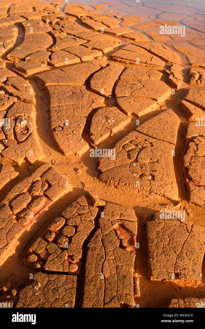natural pattern, texture, abstract and background in nature Stock Photo