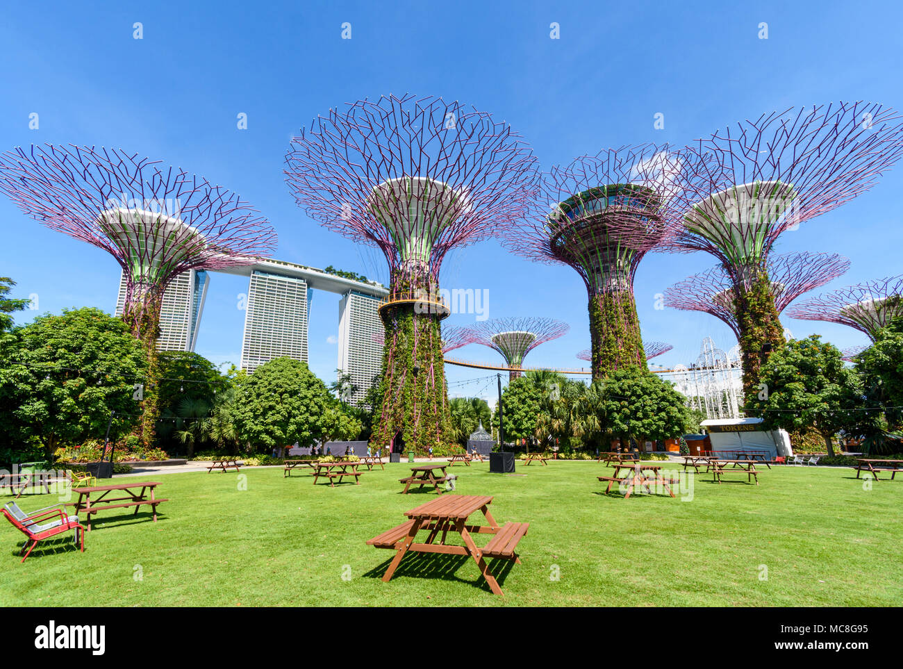 Supertree Grove, Gardens by the Bay, Singapore Stock Photo Alamy