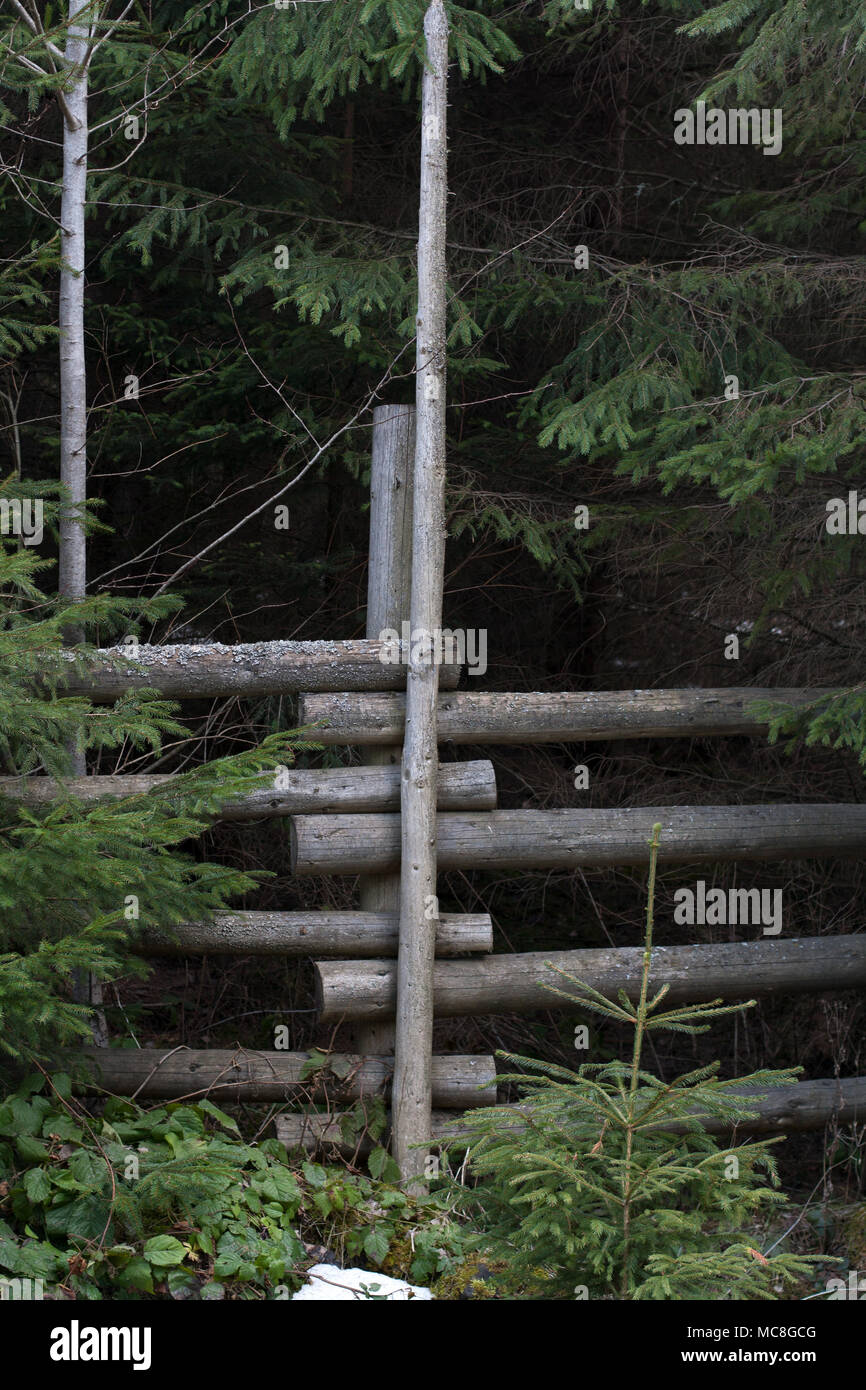 Wooden fence splice in mountains forest village with spruce trees on the background Stock Photo