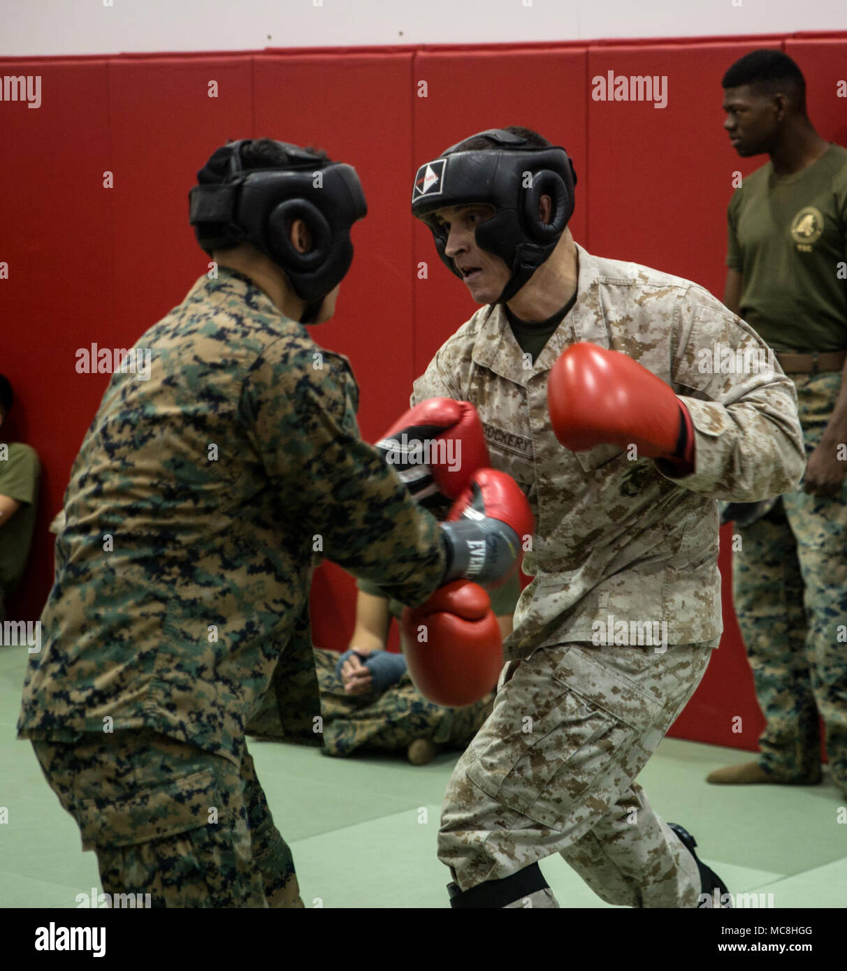 Col. Charles B. Dockery and Lance Cpl. Jose C. Tanonreyes kick box during a black belt course on March 23, 2018, Camp Foster, Okinawa, Japan. Marine Corps Martial Arts Program is an integrated, weapon-based system that incorporates the full spectrum of the force continuum on the battlefield, and contributes to the mental, character and physical development of Marines. Col. Dockery is the chief of staff for 1st Marine Aircraft Wing. Tanonreyes is a tax clerk for Headquarters and Support Battalion, Marine Corps Installations Pacific. Stock Photo