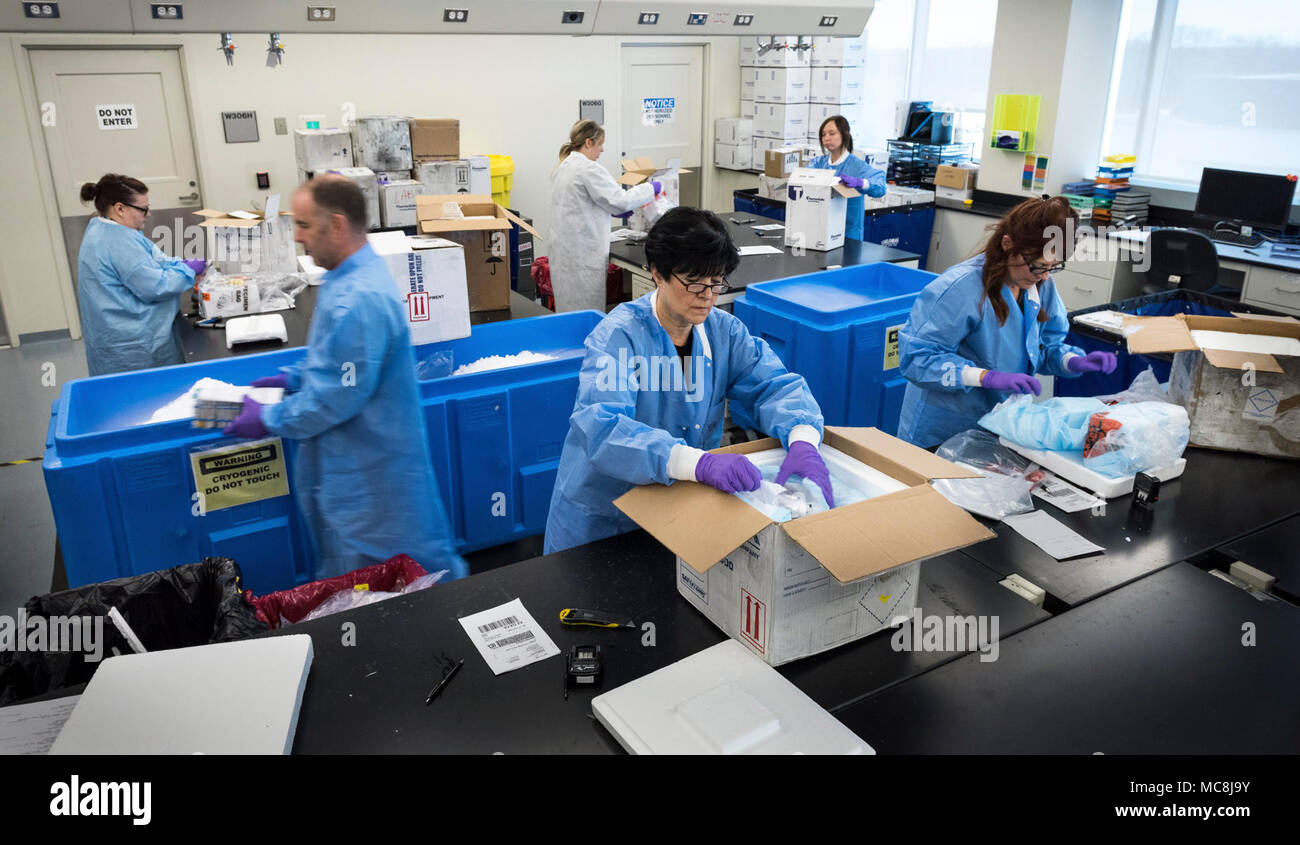 Laboratory technicians unpack and log in blood serum, fecal, urine or ...