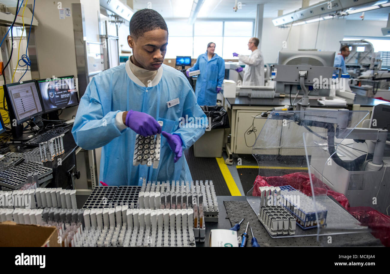 Staff Sgt. Gerald Gatlin prepares serology samples in the immunodiagnostic section of the Epidemiology Laboratory Service, also known as the ‘Epi Lab,’ at the 711th Human Performance Wing’s United States Air Force School of Aerospace Medicine and Public Health at Wright Patterson AFB, Ohio, Jan. 30, 2018. The immunodiagnostic section recently installed an automated testing unit, blue track on left, which is computer controlled to prepare samples and transfer them to the appropriate analyzer for STD screening, status-immune testing or other analyses. The system automatically report results to D Stock Photo