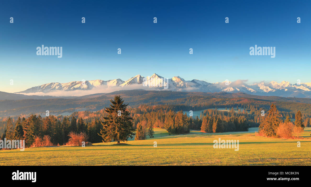 Picturesque morning in Tatras. Green valley on snowy mountain background. Sun shines at christmas trees at Tatras foothills. Gorgeous summer landscape Stock Photo