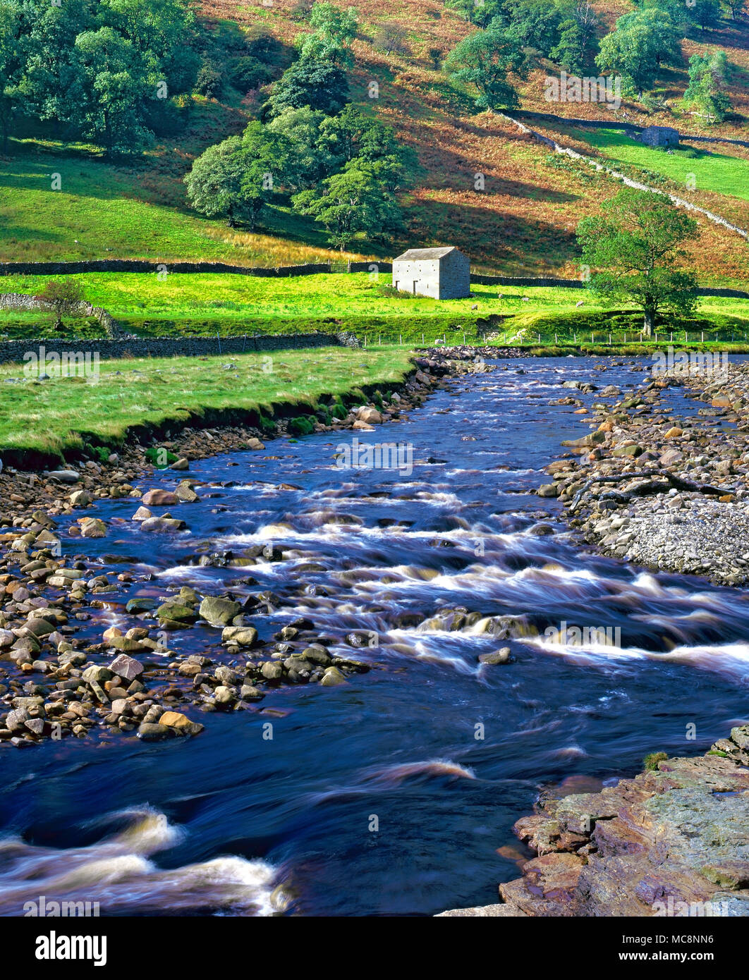 A summer view of the River Swale in the picturesque Yorkshire Dales, England. Stock Photo