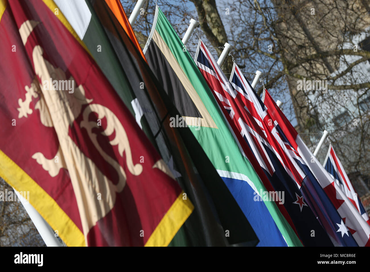 Flags of countries from the Commonwealth flying in Parliament Square