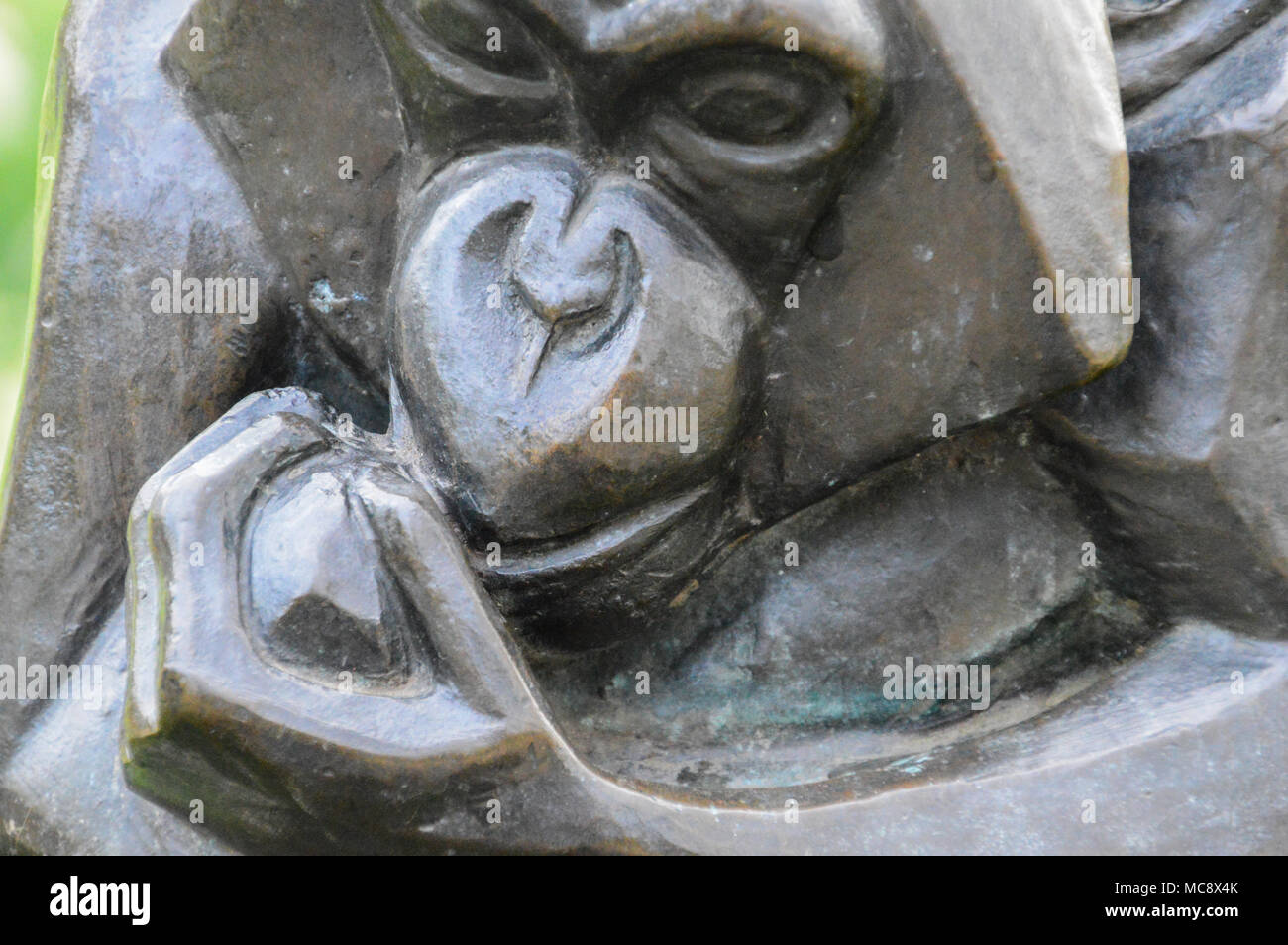 Monkey Statue At Artis Zoo Amsterdam The Netherlands Stock Photo Alamy