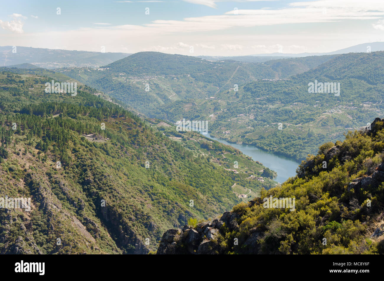 Canyon de Rio Sil, Ribeira Sacra, Galicia, Spain. Stock Photo