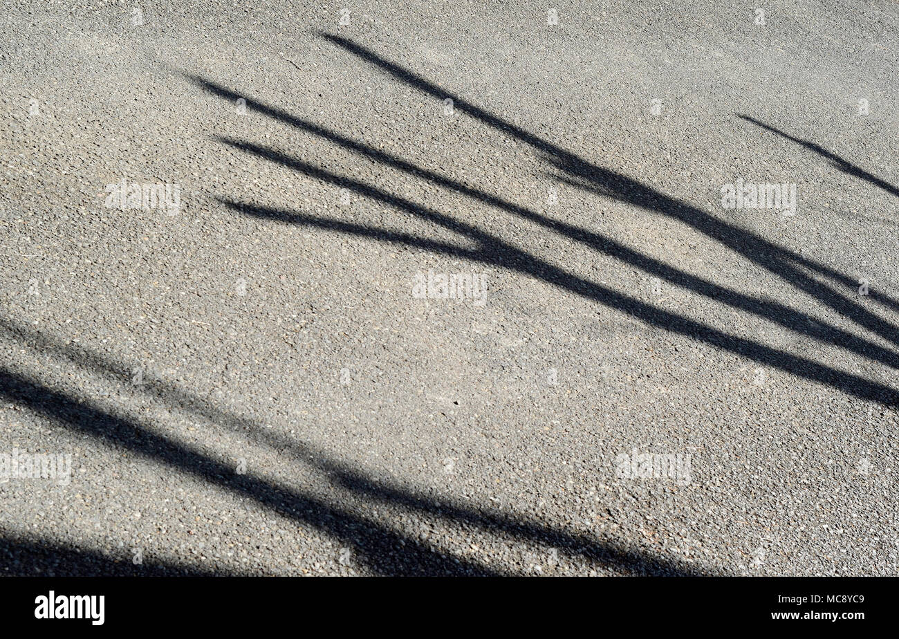 Shadows on Asphalt Stock Photo - Alamy