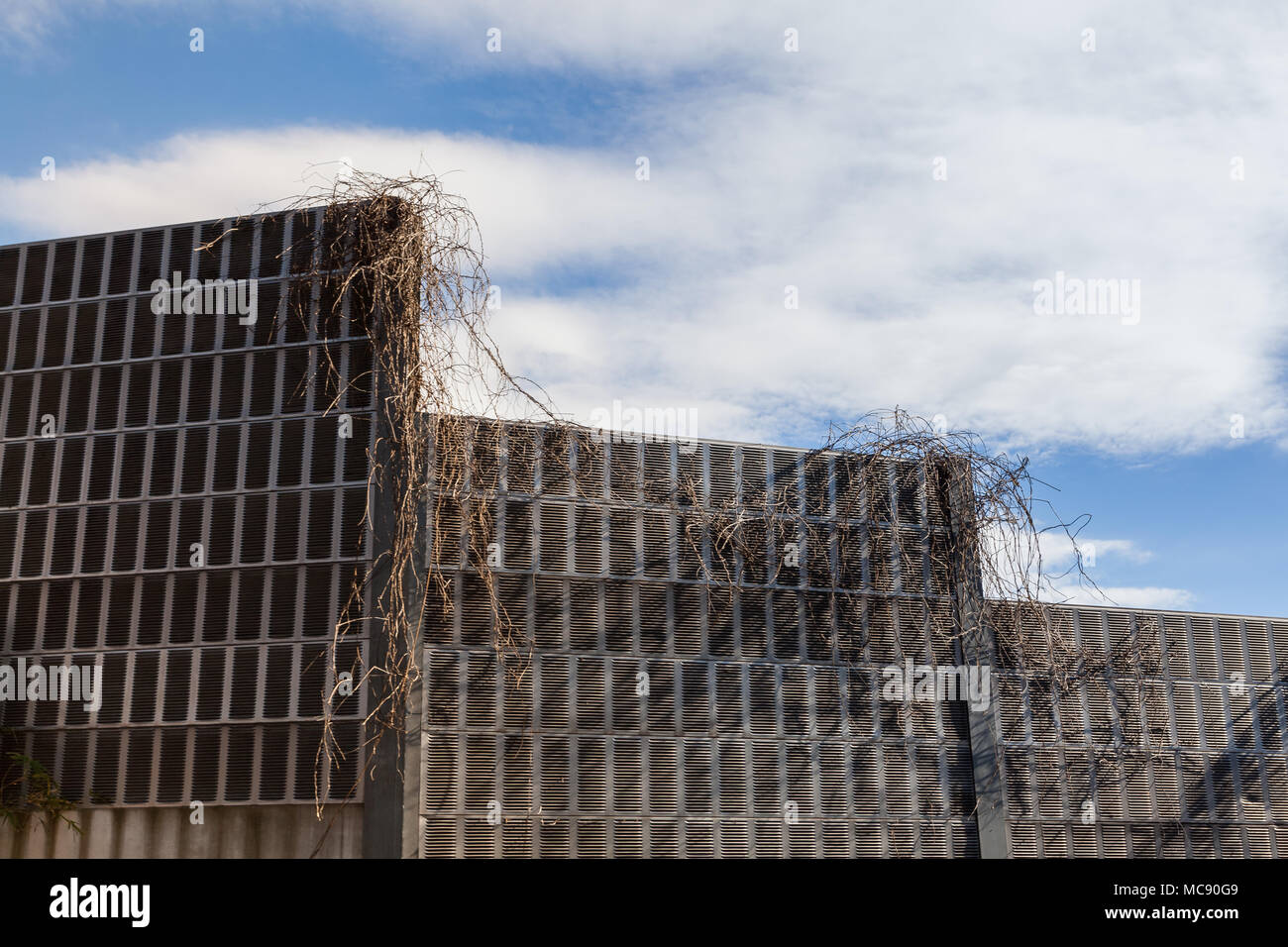 Plants overgrowing expressway soundproofing walls in rural Kanagawa, Japan. Stock Photo