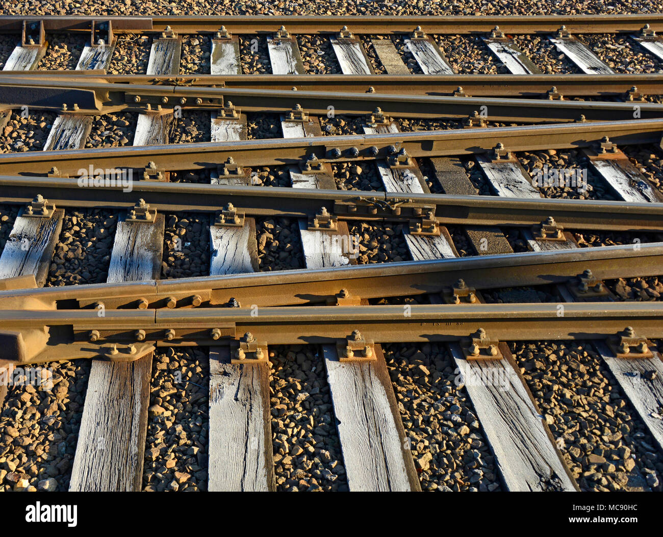 Frosty tracks in the early morning at Venlo, Netherlands Stock Photo
