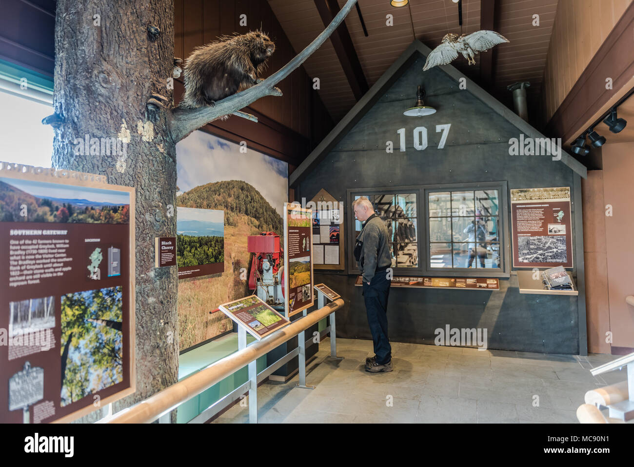 Civilian Conservation Corps exhibit at Mount Greylock Visitor Center in Lanesboro, Massachusetts. Stock Photo