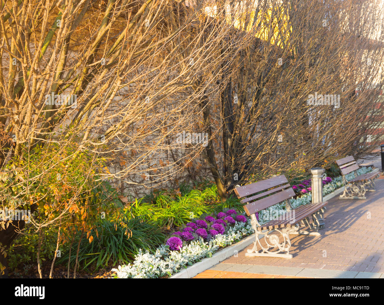 Empty park bench autum hi-res stock photography and images - Alamy
