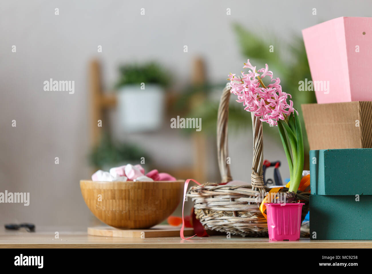 Photo room of florist with marshmallow, gift boxes Stock Photo