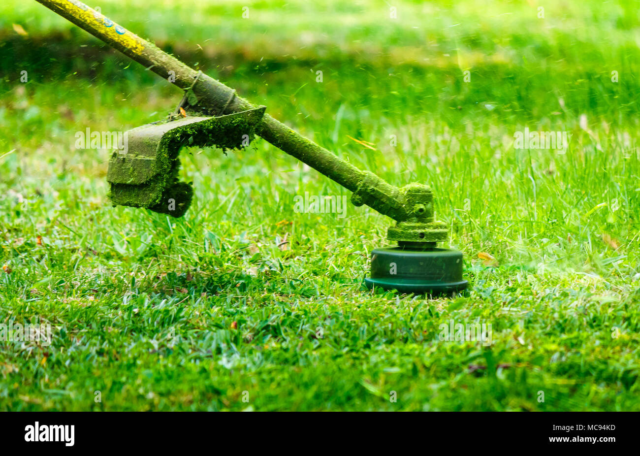 Grass trimmer blade hi-res stock photography and images - Alamy