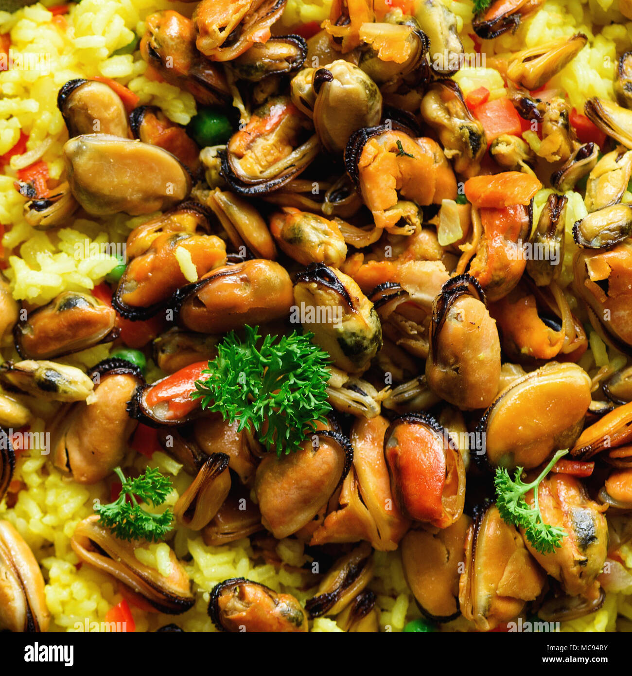 Featured image of post Light Grey Concrete Recipe