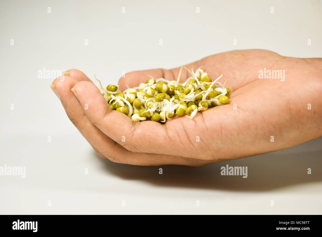 sprouted green gram in hand on isolated white background Stock Photo