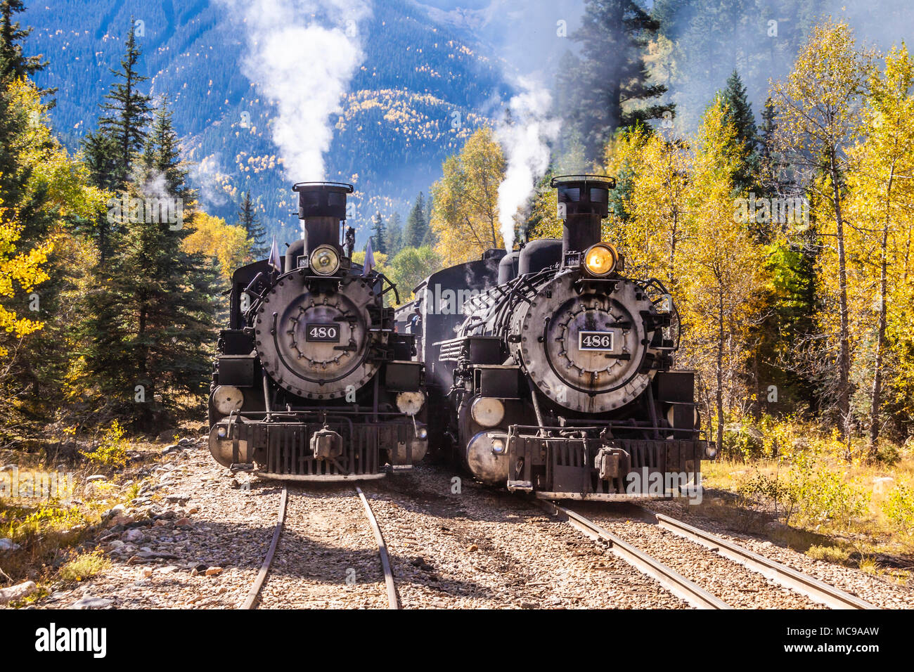 Durango and Silverton Narrow Gauge Railroad 1925 2-8-2 Mikado type Baldwin Steam locomotive #480 with historic mixed consist train on siding. Stock Photo