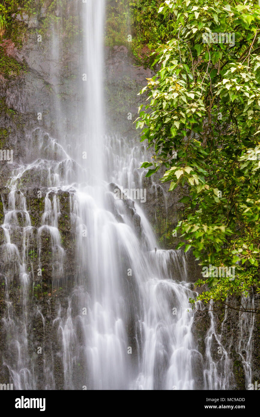 Wailua Falls is just past mile marker 45 on the Road to Hana on the