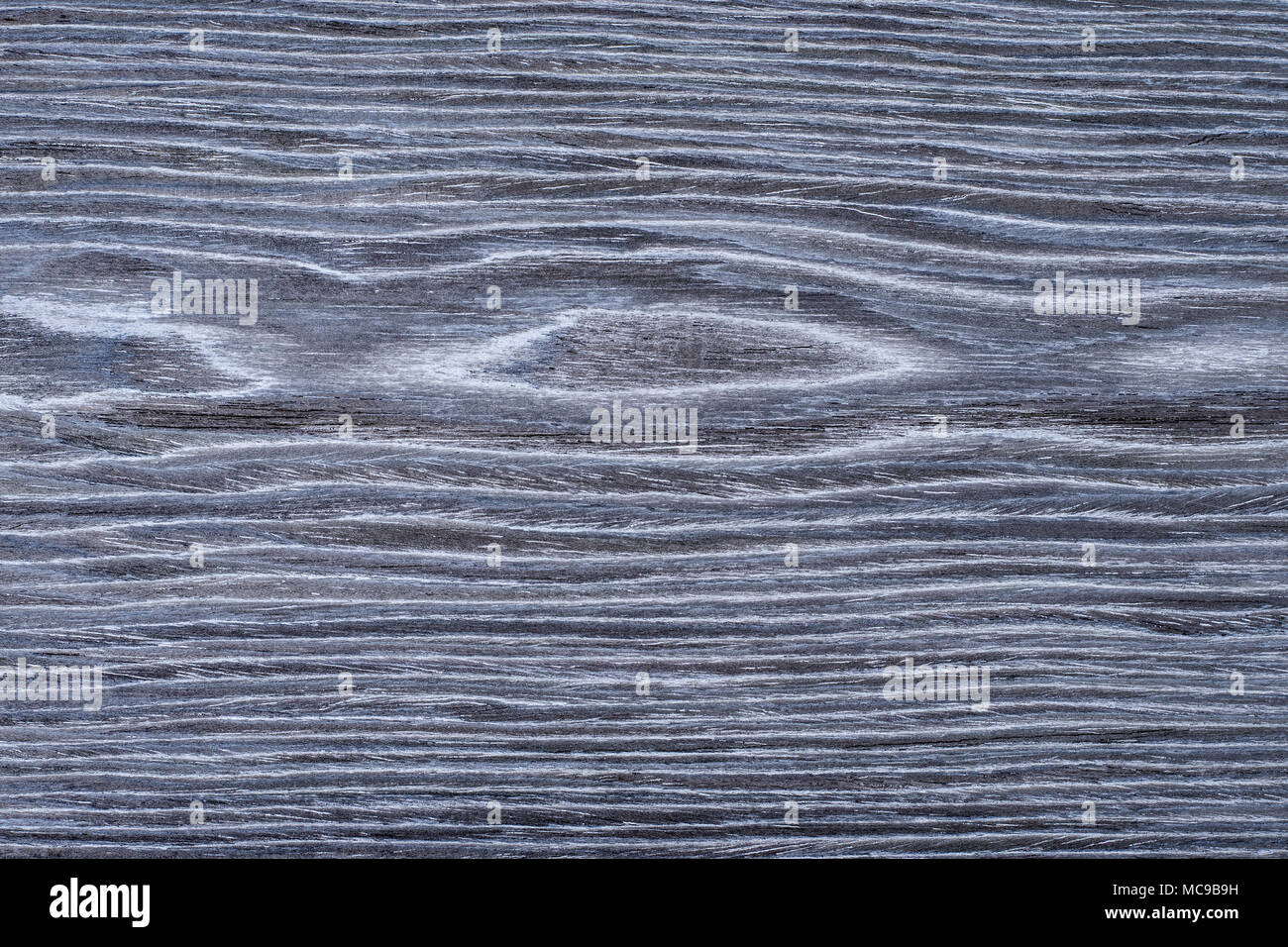 Texture of grey oak wood veneer, seamless Stock Photo Alamy