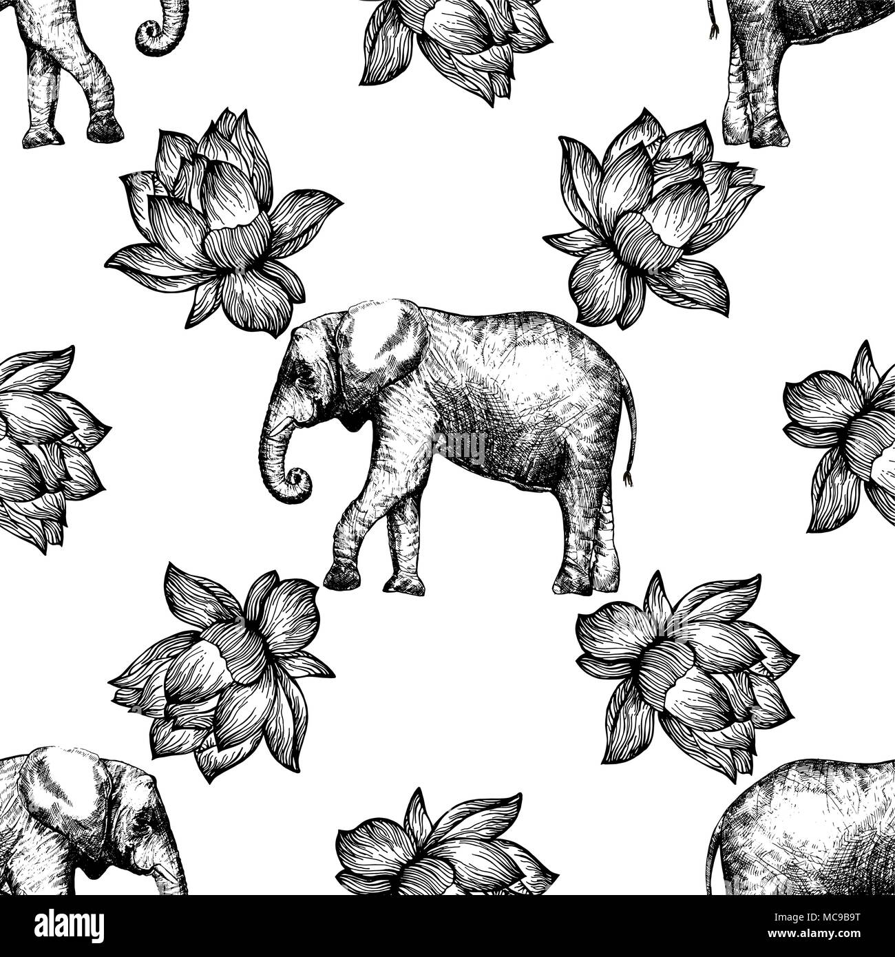 Elephant Lotus Black And White Stock Photos Images Alamy Elephant Lotus Black And White Stock Photos Images Alamy