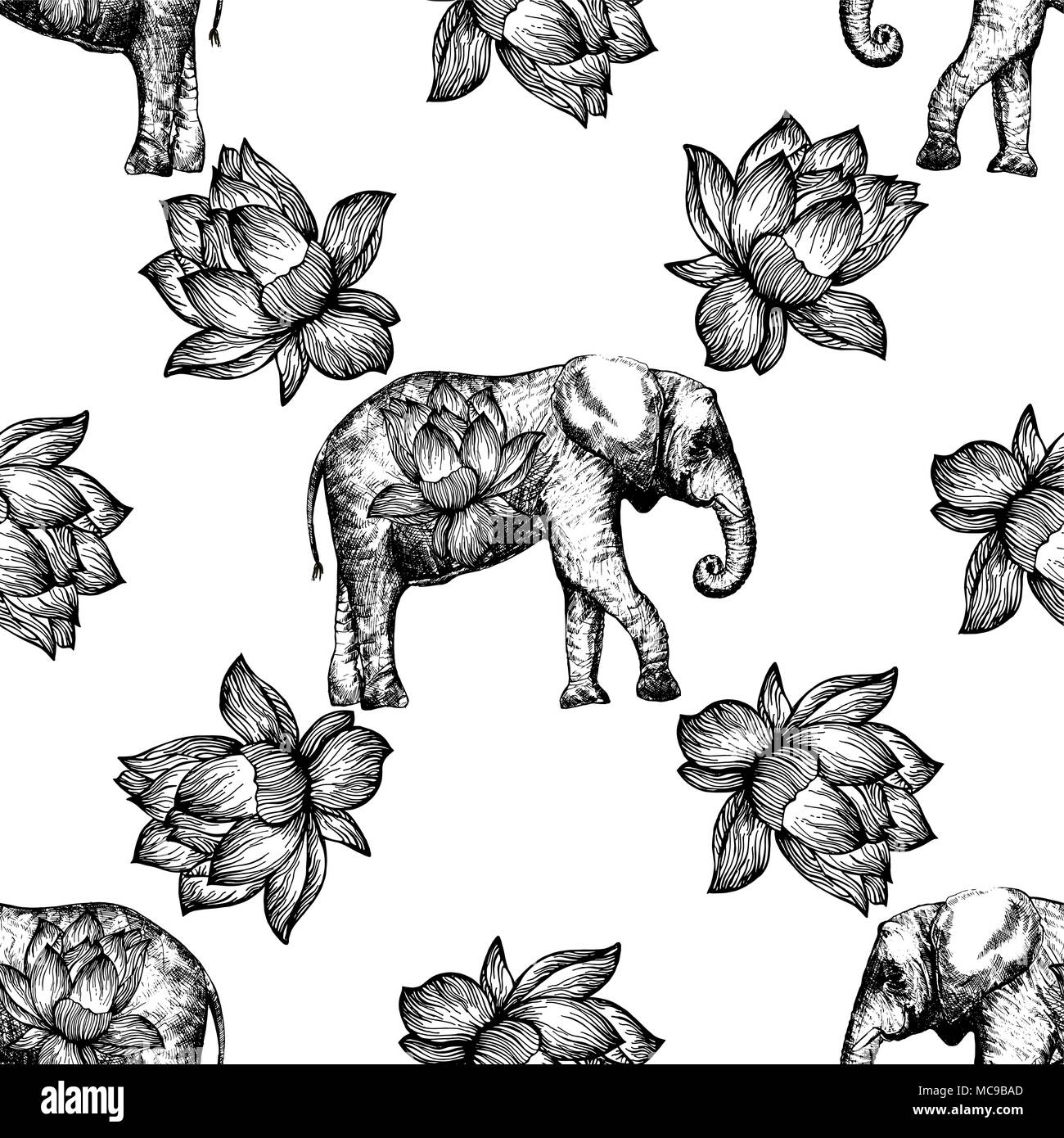 Elephant Lotus Black And White Stock Photos Images Alamy Elephant Lotus Black And White Stock Photos Images Alamy