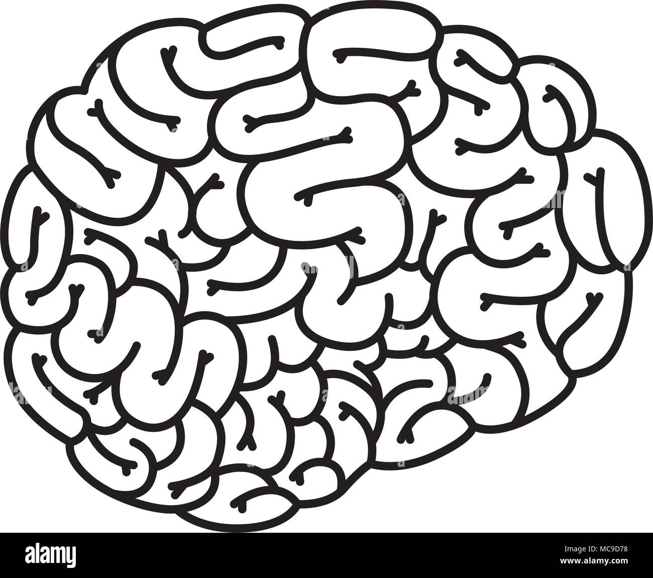 human brain organ icon Stock Vector Image & Art - Alamy