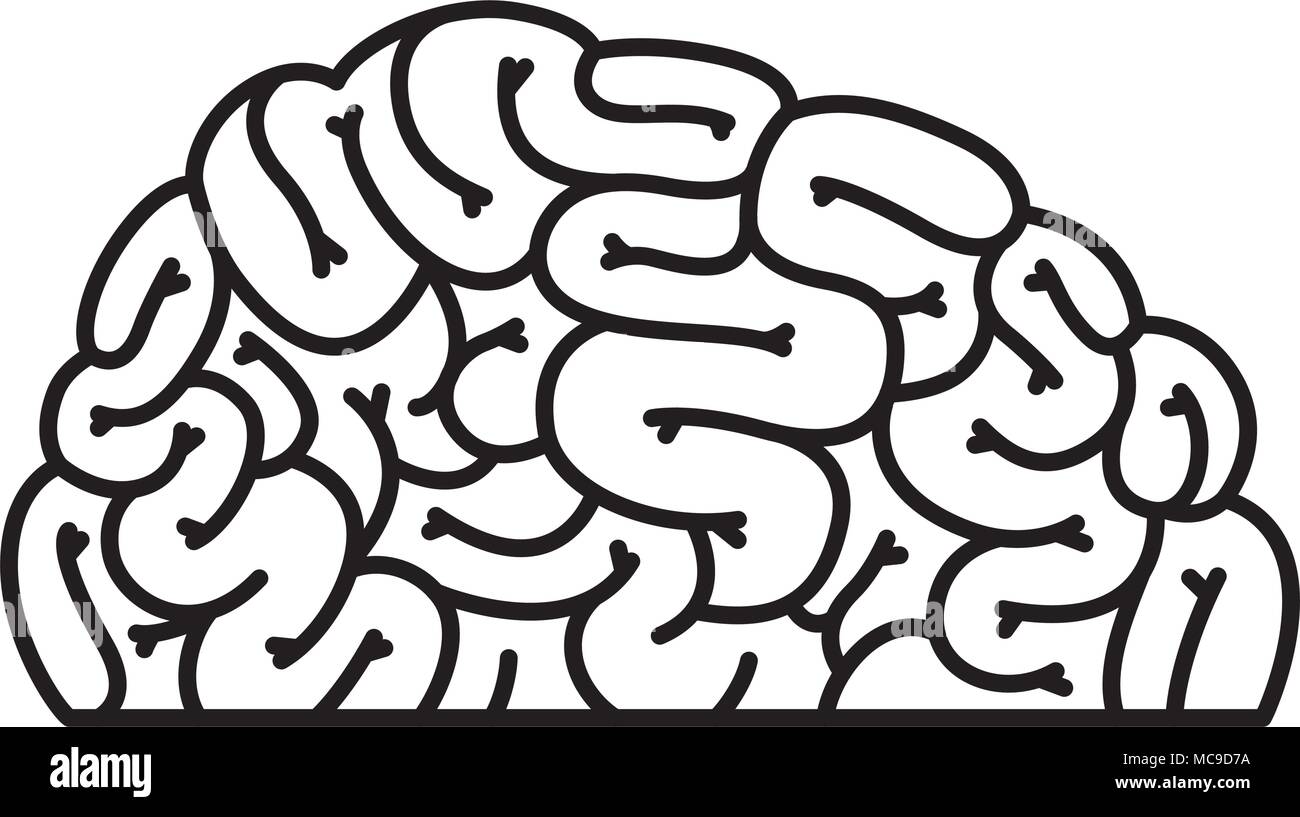 human brain organ icon Stock Vector Image & Art - Alamy