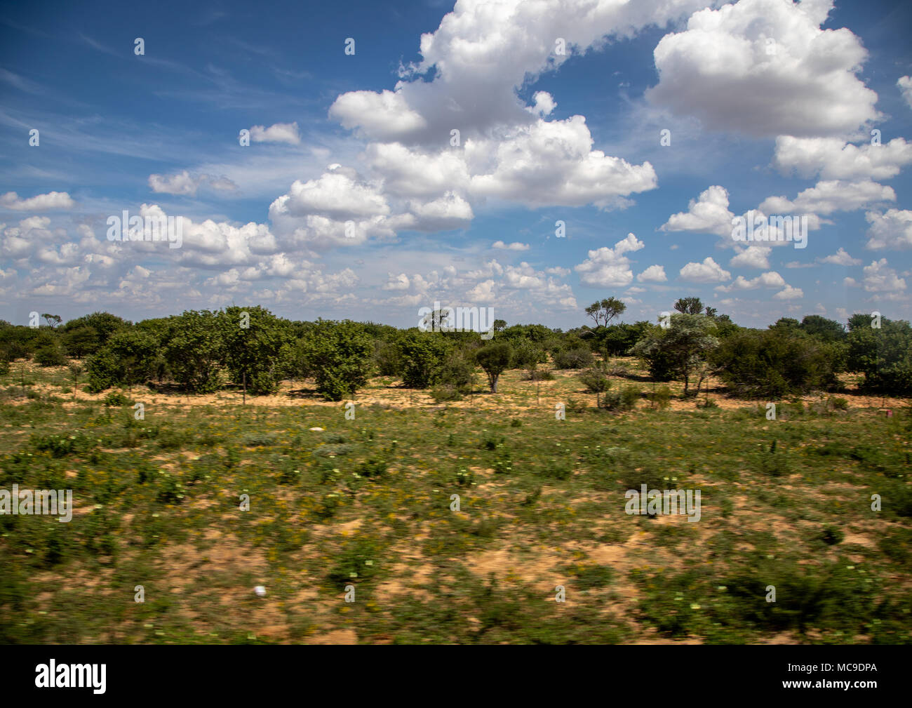 Landscape of the region Ghanzi at Botswanan during summertime Stock Photo